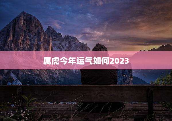 属虎今年运气如何2023