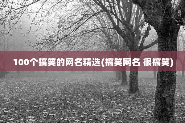 100个搞笑的网名精选(搞笑网名 很搞笑)