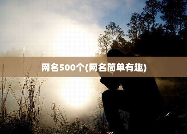 网名500个(网名简单有趣)