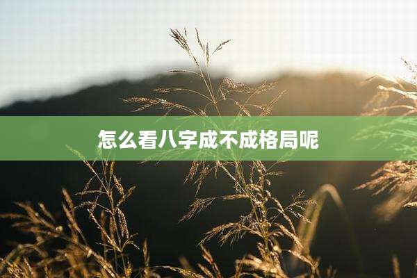 怎么看八字成不成格局呢