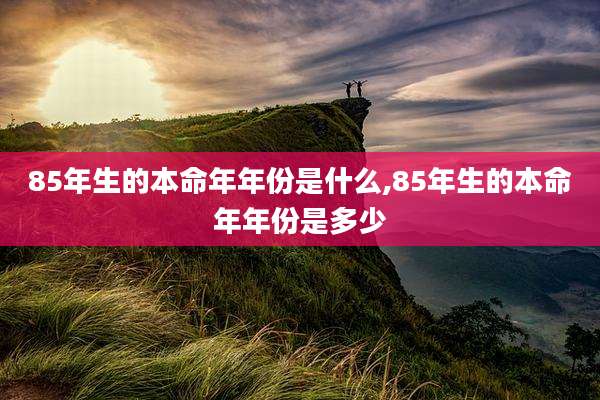 85年生的本命年年份是什么,85年生的本命年年份是多少