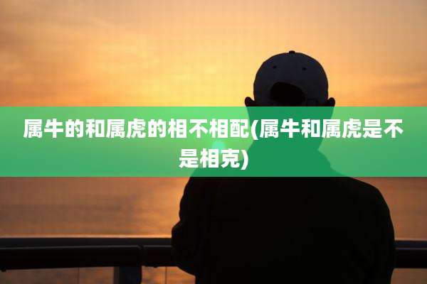 属牛的和属虎的相不相配(属牛和属虎是不是相克)
