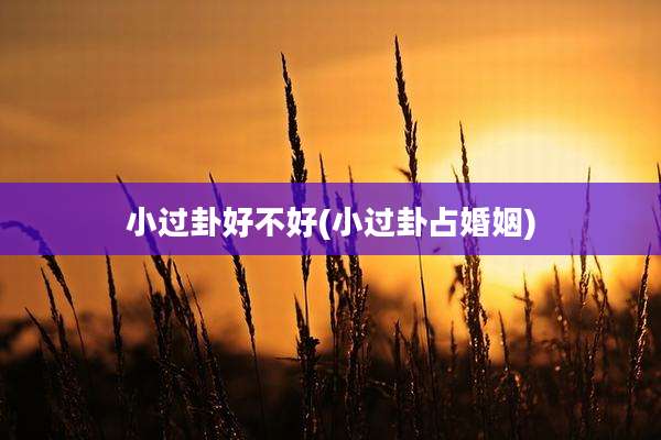 小过卦好不好(小过卦占婚姻)