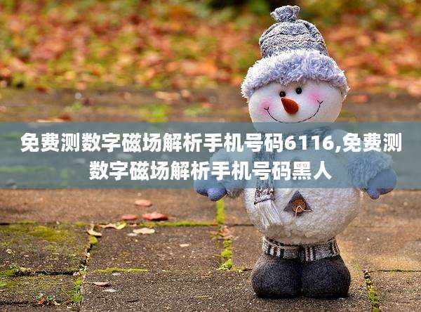 免费测数字磁场解析手机号码6116,免费测数字磁场解析手机号码黑人