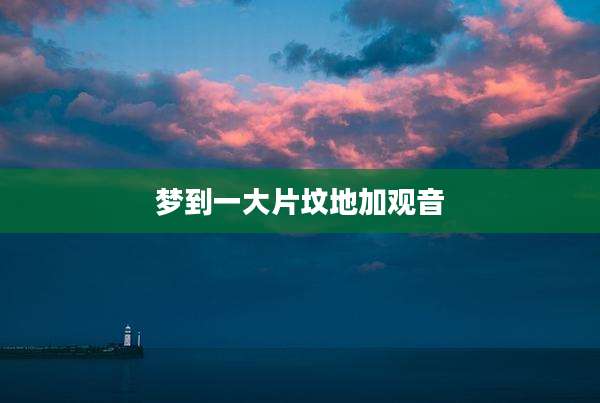 梦到一大片坟地加观音