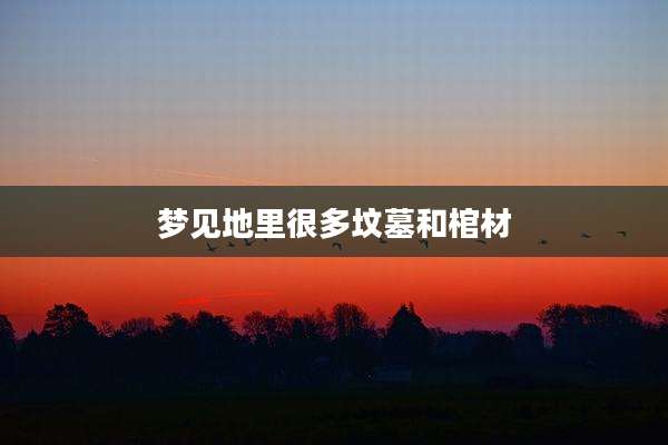 梦见地里很多坟墓和棺材