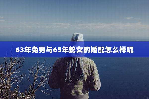 63年兔男与65年蛇女的婚配怎么样呢