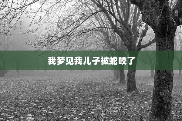 我梦见我儿子被蛇咬了