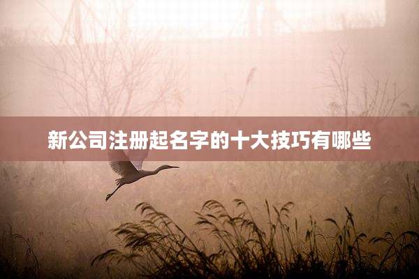 新公司注册起名字的十大技巧有哪些