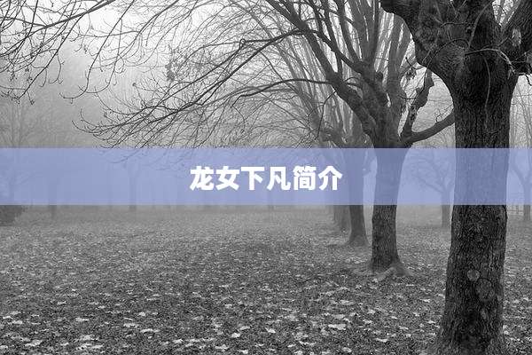 龙女下凡简介