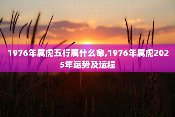 1976年属虎五行属什么命,1976年属虎2025年运势及运程