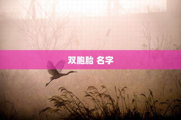 双胞胎 名字