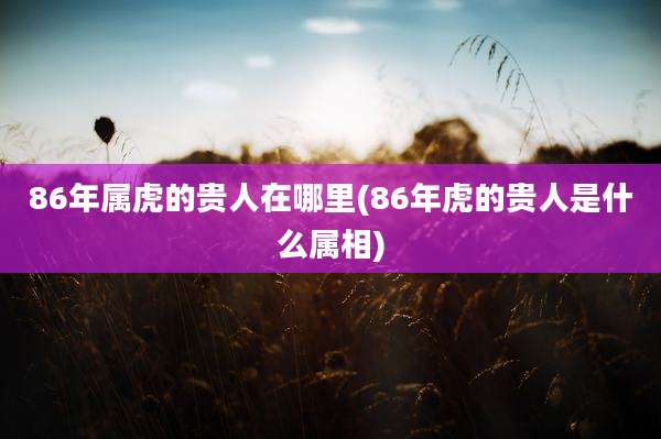 86年属虎的贵人在哪里(86年虎的贵人是什么属相)