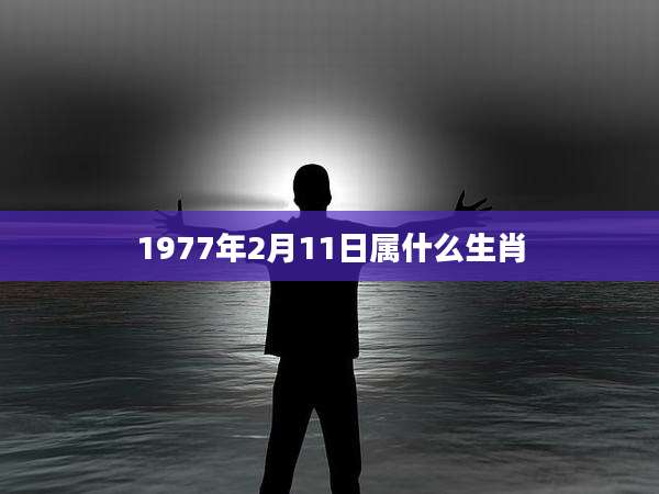 1977年2月11日属什么生肖