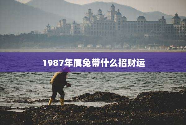 1987年属兔带什么招财运