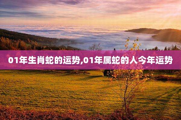 01年生肖蛇的运势,01年属蛇的人今年运势
