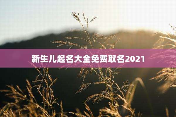 新生儿起名大全免费取名2021