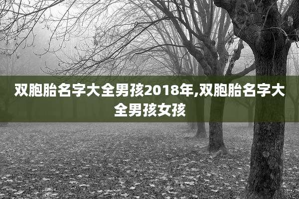 双胞胎名字大全男孩2018年,双胞胎名字大全男孩女孩