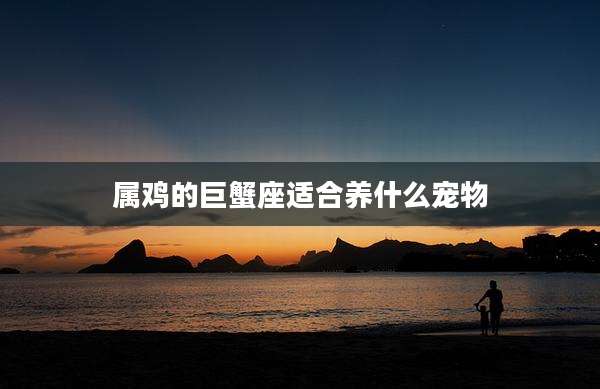 属鸡的巨蟹座适合养什么宠物