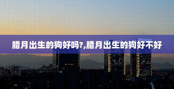腊月出生的狗好吗?,腊月出生的狗好不好