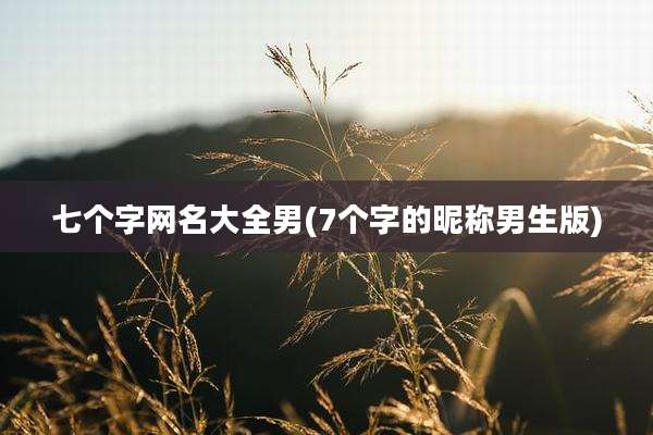 七个字网名大全男(7个字的昵称男生版)