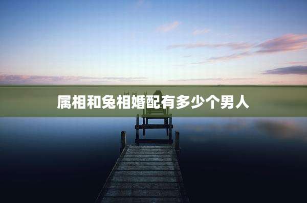 属相和兔相婚配有多少个男人