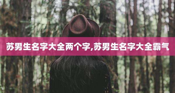 苏男生名字大全两个字,苏男生名字大全霸气