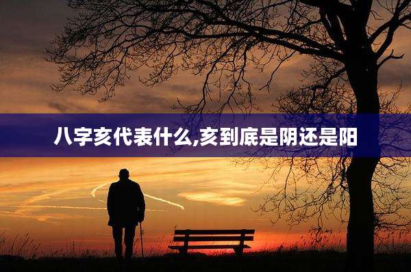 八字亥代表什么,亥到底是阴还是阳