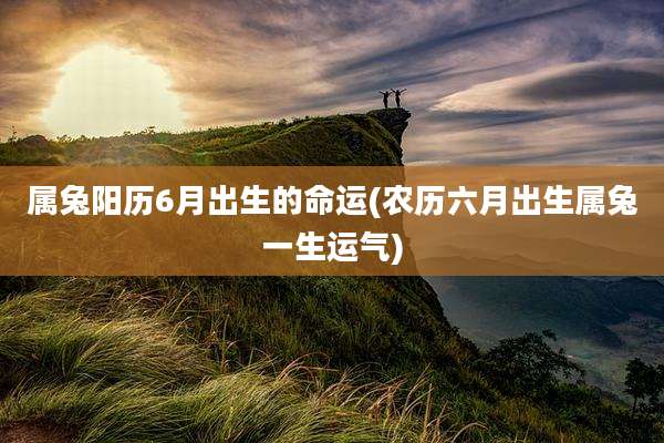 属兔阳历6月出生的命运(农历六月出生属兔一生运气)