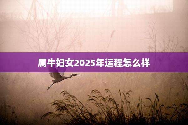 属牛妇女2025年运程怎么样