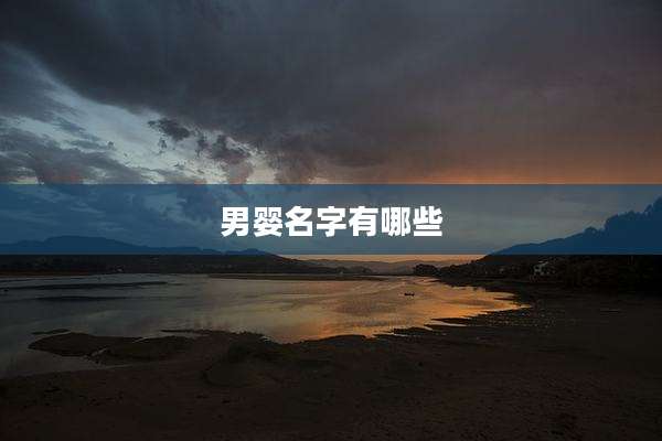 男婴名字有哪些