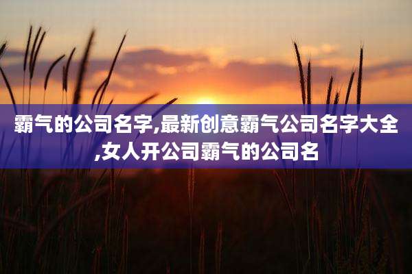 霸气的公司名字,最新创意霸气公司名字大全,女人开公司霸气的公司名