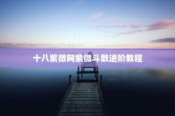 十八紫微网紫微斗数进阶教程