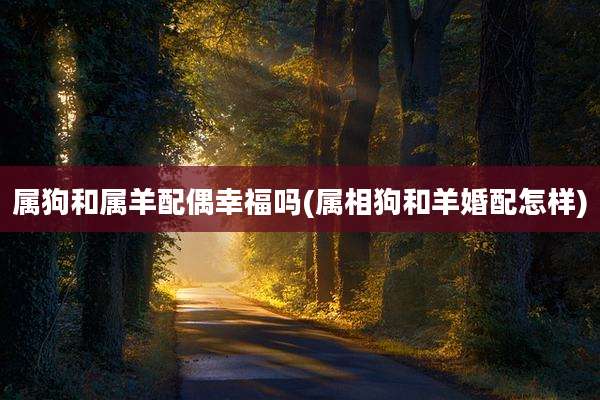 属狗和属羊配偶幸福吗(属相狗和羊婚配怎样)