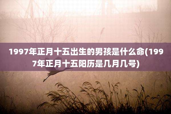 1997年正月十五出生的男孩是什么命(1997年正月十五阳历是几月几号)