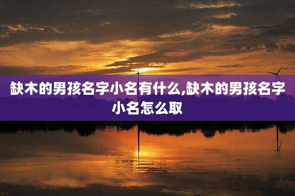 缺木的男孩名字小名有什么,缺木的男孩名字小名怎么取