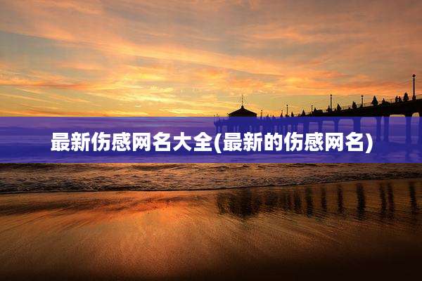 最新伤感网名大全(最新的伤感网名)