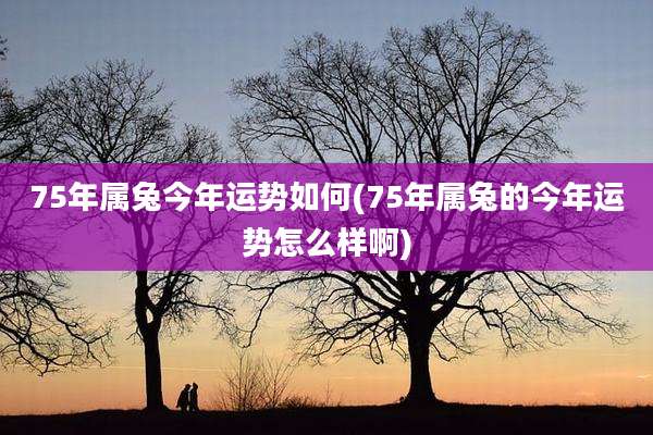 75年属兔今年运势如何(75年属兔的今年运势怎么样啊)