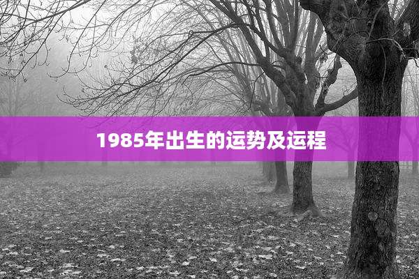1985年出生的运势及运程