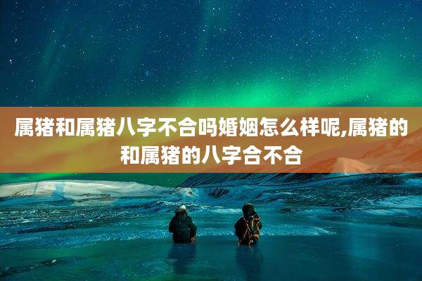 属猪和属猪八字不合吗婚姻怎么样呢,属猪的和属猪的八字合不合