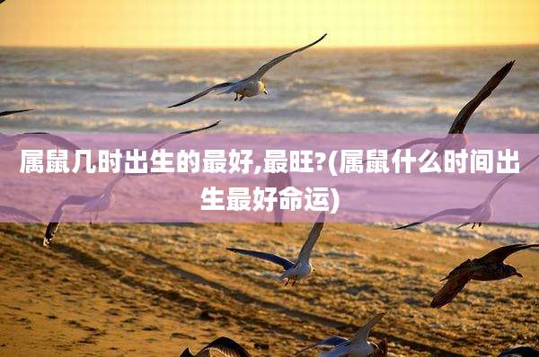 属鼠几时出生的最好,最旺?(属鼠什么时间出生最好命运)