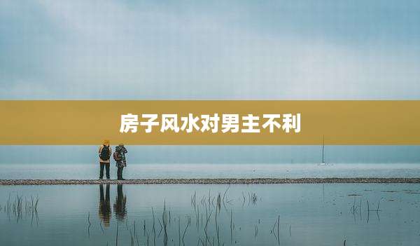 房子风水对男主不利