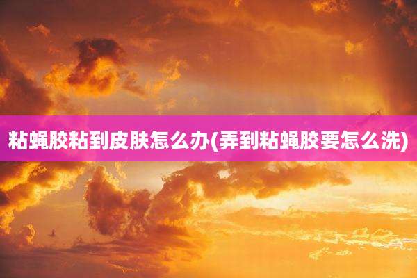 粘蝇胶粘到皮肤怎么办(弄到粘蝇胶要怎么洗)