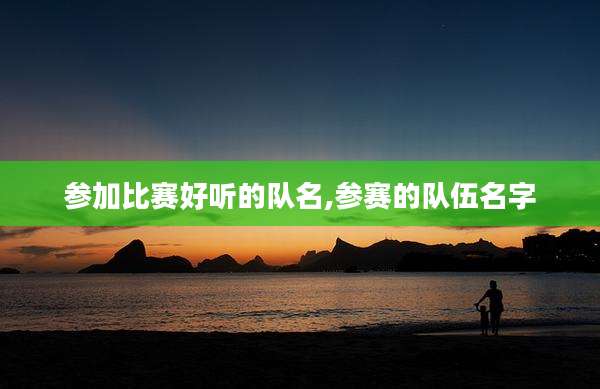 参加比赛好听的队名,参赛的队伍名字