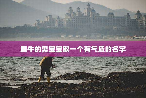属牛的男宝宝取一个有气质的名字