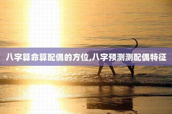 八字算命算配偶的方位,八字预测测配偶特征
