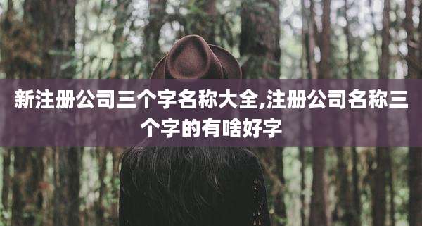 新注册公司三个字名称大全,注册公司名称三个字的有啥好字