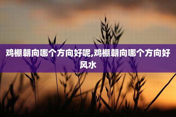 鸡棚朝向哪个方向好呢,鸡棚朝向哪个方向好风水