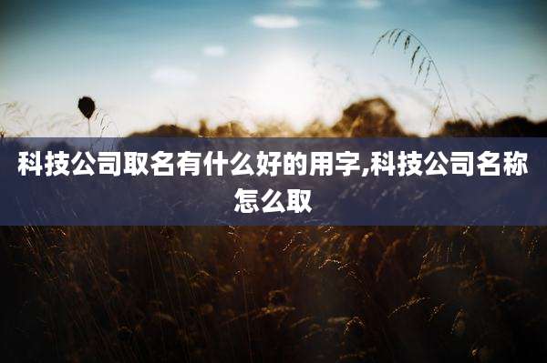 科技公司取名有什么好的用字,科技公司名称怎么取