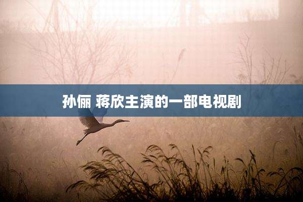 孙俪 蒋欣主演的一部电视剧